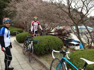 小原四季桜公園