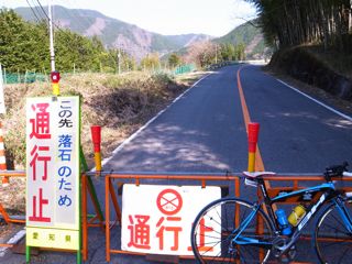 桜サイクリング