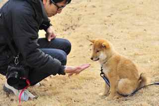 シバなふたり