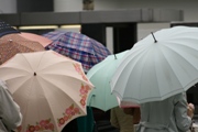 雨ですね・・・