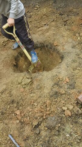 庭の穴掘り 庭の穴掘り