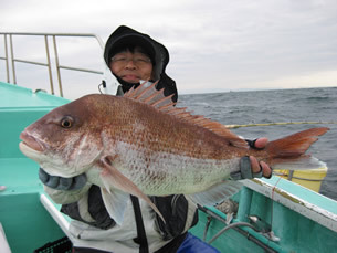3月6日　相良福徳丸さんからノッコミ間近の真鯛釣り