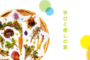 独身だけ！森のお茶会in小原