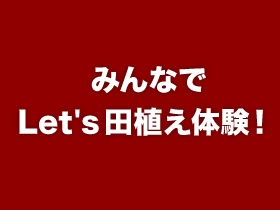 みんなでLets田植え体験！