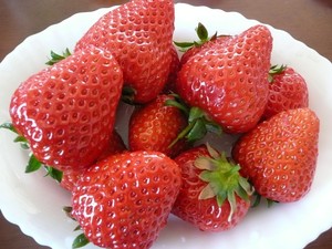 今が旬！地元いちごの試食販売