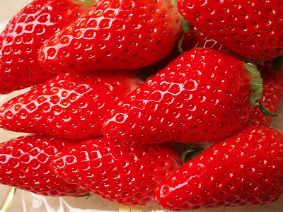 クリスマスケーキにあきひめ苺