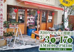 土曜はキャベツフェアーだ！
