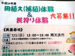 田植えと桃の収穫してみない？