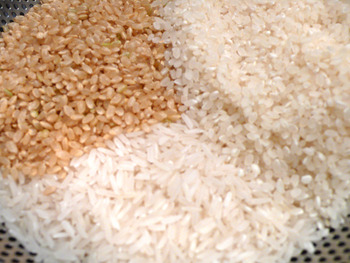 初めてタイ米を買う