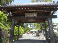 ぼたん好きとして･･･一度は行きたい『可睡斎』