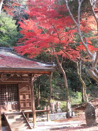定光寺の紅葉