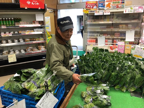 自慢の新鮮ほうれん草 自慢の新鮮ほうれん草
