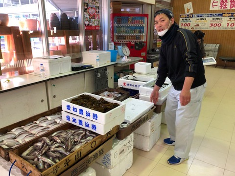 おかざき農遊館にて地元漁港より直送!とれたて鮮魚市開催!! おかざき農遊館にて地元漁港より直送!とれたて鮮魚市開催!!