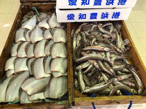 おかざき農遊館にて地元漁港より直送!とれたて鮮魚市開催!! おかざき農遊館にて地元漁港より直送!とれたて鮮魚市開催!!