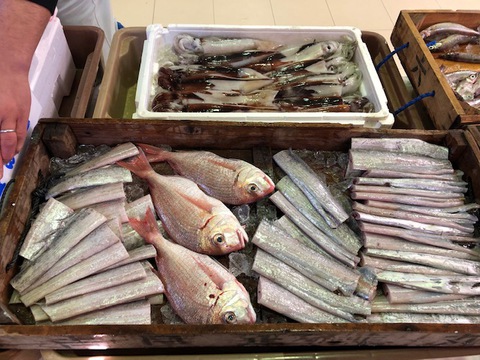 おかざき農遊館にて地元漁港より直送!とれたて鮮魚市開催!! おかざき農遊館にて地元漁港より直送!とれたて鮮魚市開催!!