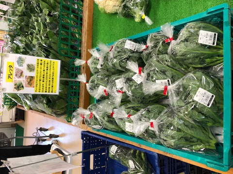 珍しい野菜「アレッタ」が入荷しました 珍しい野菜「アレッタ」が入荷しました