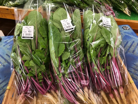 珍しい野菜が入荷しました 珍しい野菜が入荷しました
