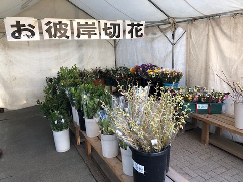 お彼岸用の切り花・仏花の準備はお済ですか? お彼岸用の切り花・仏花の準備はお済ですか?