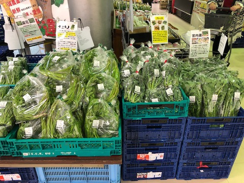 今日のおすすめ!ちょっと変わった新鮮地元野菜 今日のおすすめ!ちょっと変わった新鮮地元野菜