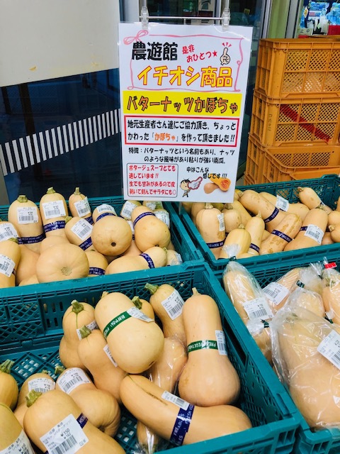 一押し!「バターナッツかぼちゃ」 一押し!「バターナッツかぼちゃ」