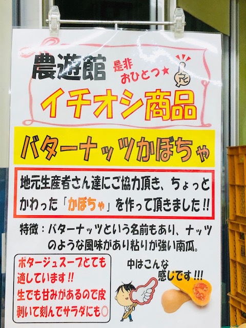 一押し!「バターナッツかぼちゃ」 一押し!「バターナッツかぼちゃ」