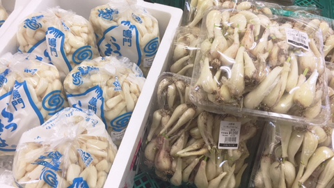 今が旬の『らっきょう』入荷してます! 今が旬の『らっきょう』入荷してます!
