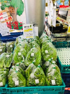 旬野菜!セリご飯 旬野菜!セリご飯