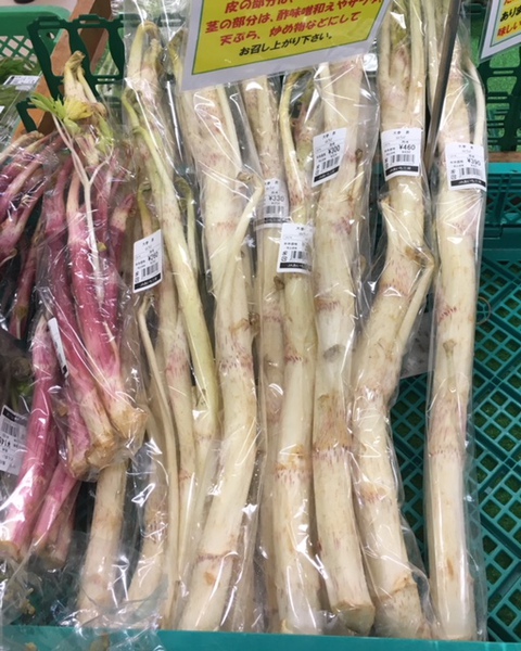 本日の試食!『うどと豚肉の炒め物』(*^_^*) 本日の試食!『うどと豚肉の炒め物』(*^_^*)