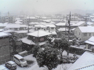 雪の一日