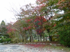 秋の散歩　　大正村