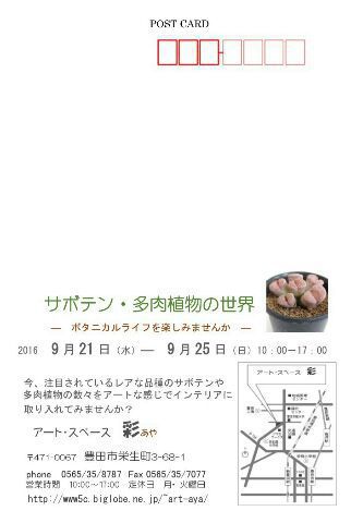 サボテン＆多肉植物イベント　～最終日～