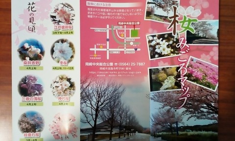 櫻園さんからの岡崎中総でお花見ドライブ！