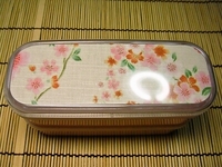 和柄のお弁当箱買っちゃいました☆