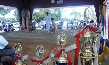 平成23年度愛知県中学生相撲大会