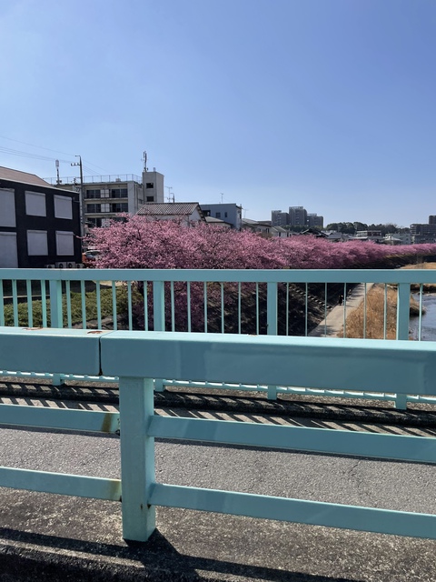 身体が先か?心が先か? 身体が先か?心が先か?