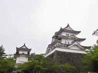 伊賀上野城の高石垣