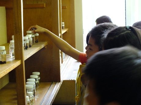 ホタル学校で環境教室！「井田小学校」４年生が来校しました！