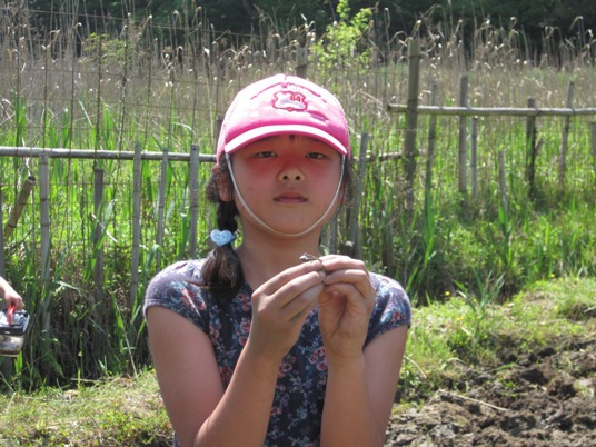第１回稲作体験「田起こし＆カエルを探そう」を開催しました！