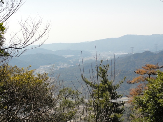 着々と整備が進む新登山コース「喜桜山」