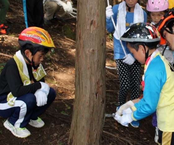 森を育てる＆木を使う「親子でワクワク！森しごと体験」参加者募集中
