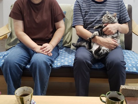 猫と暮らす和モダンハウス☆お家づくりストーリー④