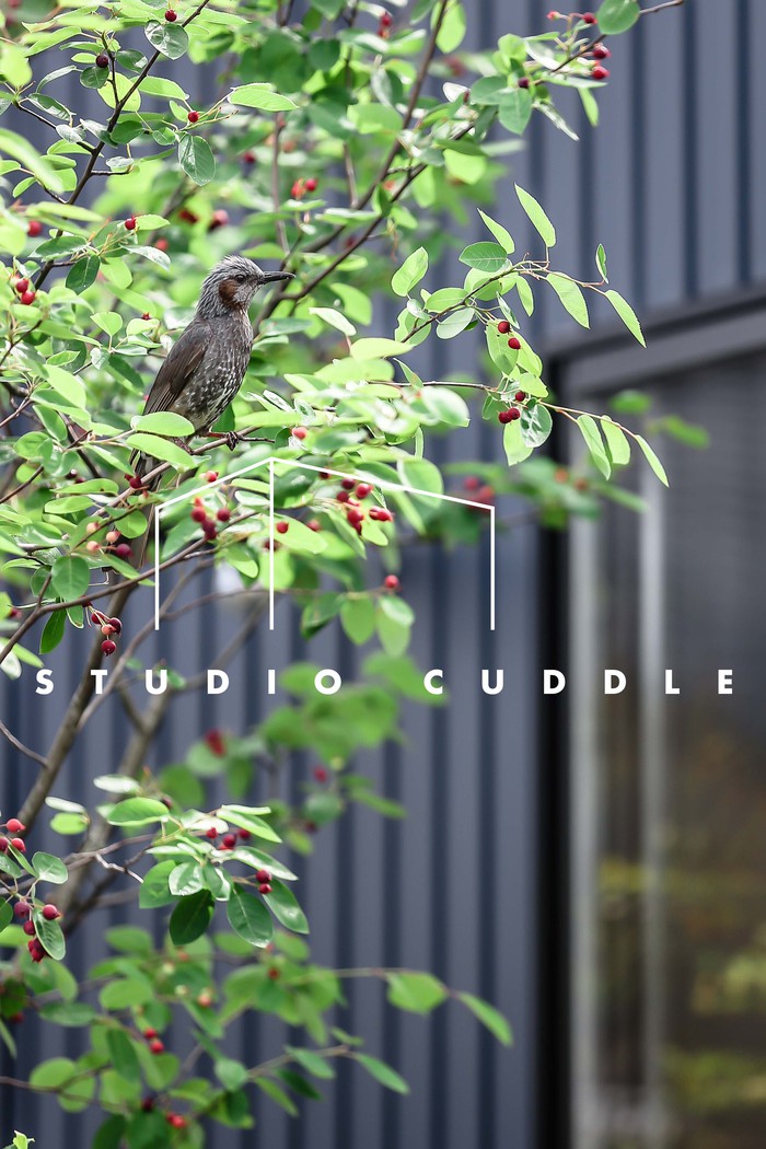 内覧会♫/STUDIO CUDDLE(スタジオカドル)岡崎で七五三前撮りロケーションフォトが人気❇︎ 内覧会♫/STUDIO CUDDLE(スタジオカドル)岡崎で七五三前撮りロケーションフォトが人気❇︎