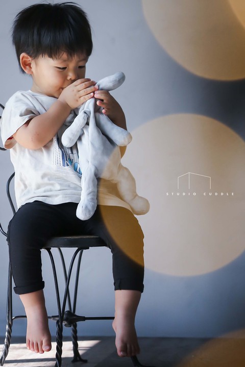 飾りたい写真/STUDIO CUDDLE(スタジオカドル)岡崎市でおしゃれな七五三やキッズフォトの写真スタジオ 飾りたい写真/STUDIO CUDDLE(スタジオカドル)岡崎市でおしゃれな七五三やキッズフォトの写真スタジオ