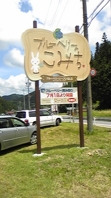 稲武のブルーベリーのこみちへ、行ってきました