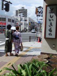 豊田おいでんまつり