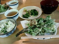 山菜とりとお料理－足助屋敷食の学校