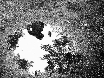 名古屋・岡崎のモノクロ画像