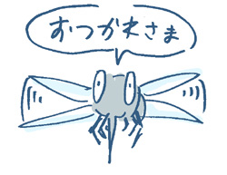 蚊から
