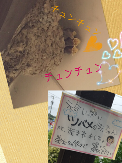 七夕の願いごと