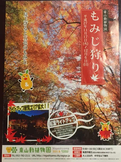 東山動植物園の紅葉ライトアップ